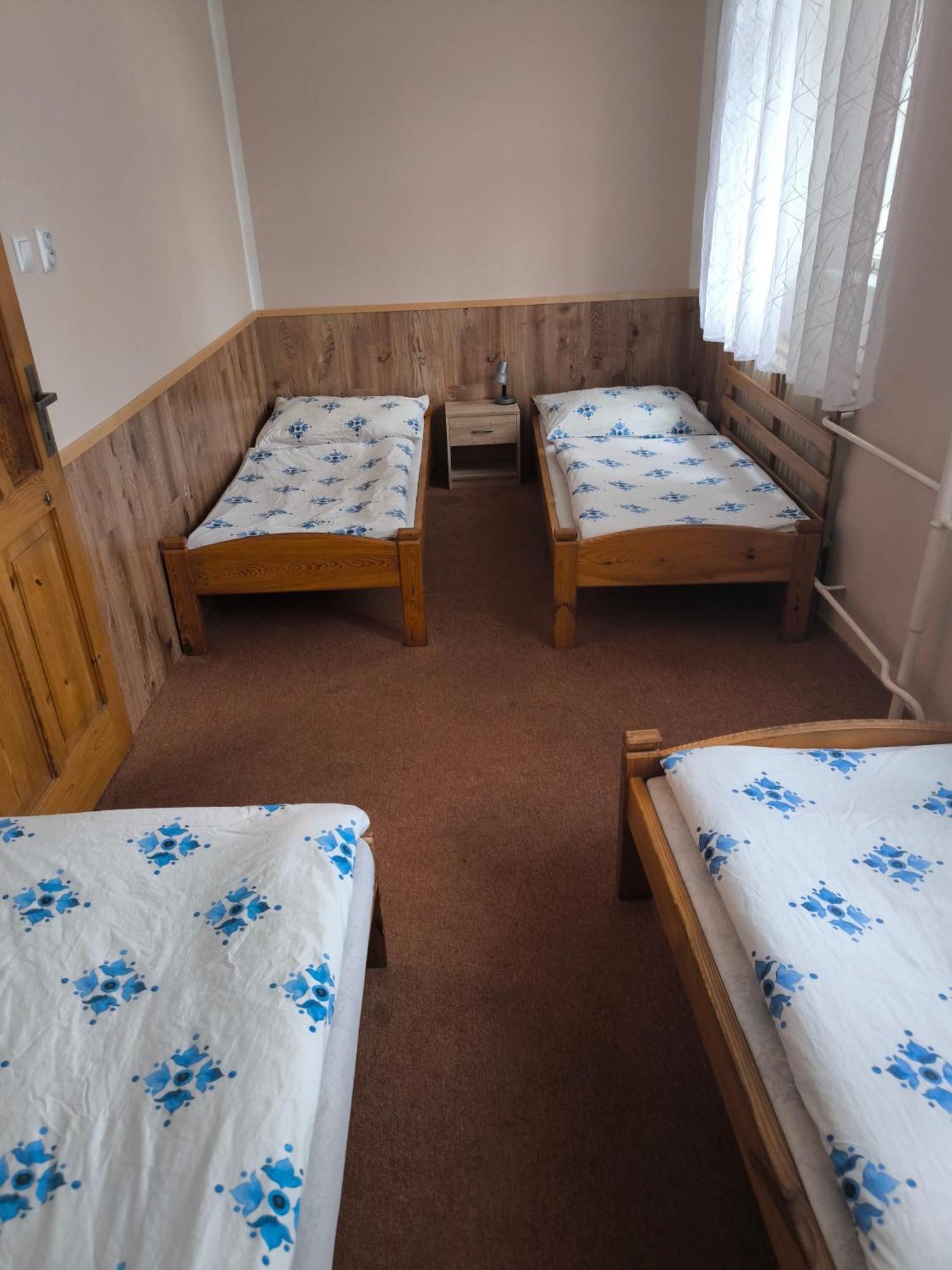 Penzion U Zeleneho Stromu Telnice 部屋 写真