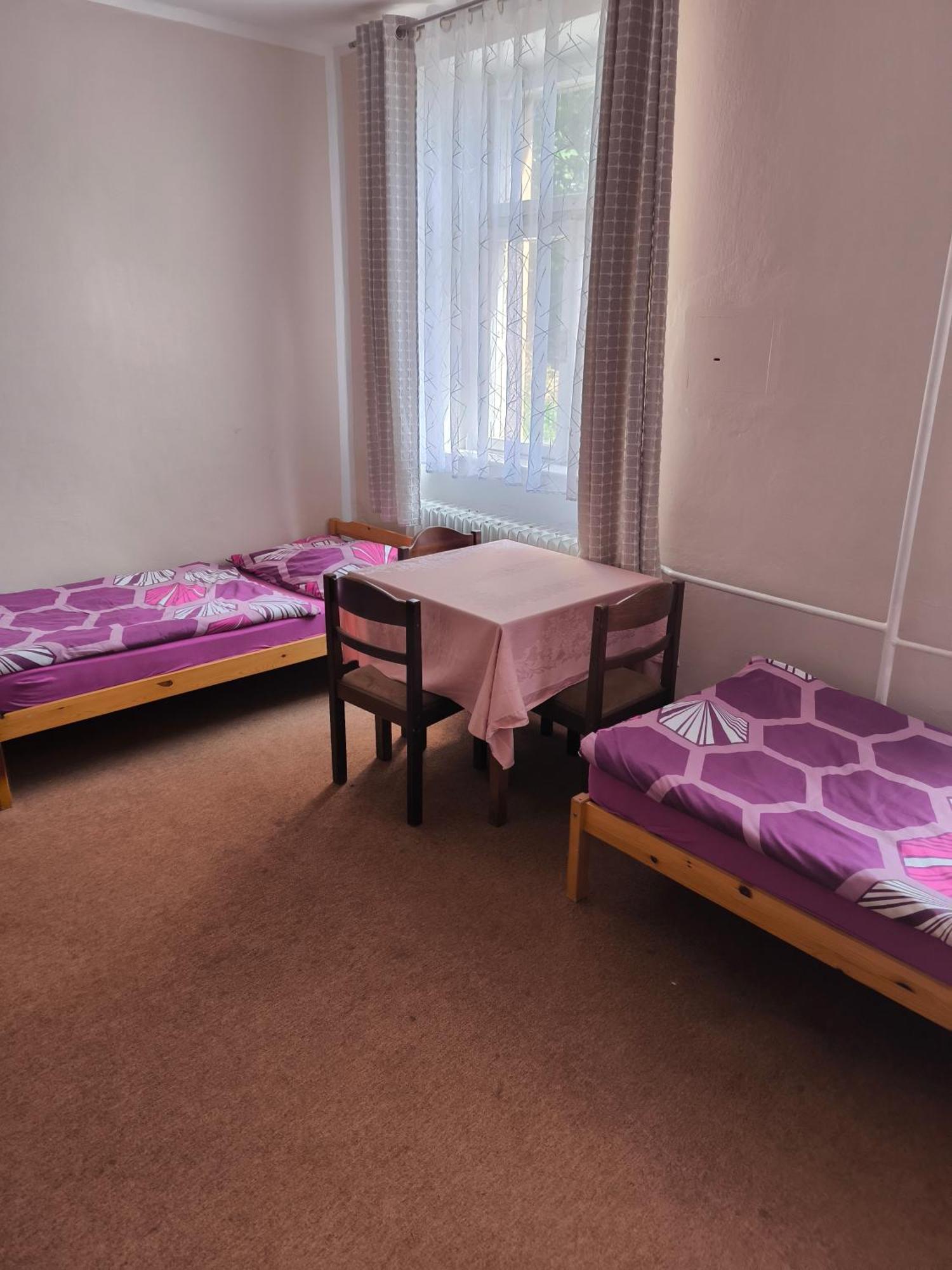 Penzion U Zeleneho Stromu Telnice 部屋 写真