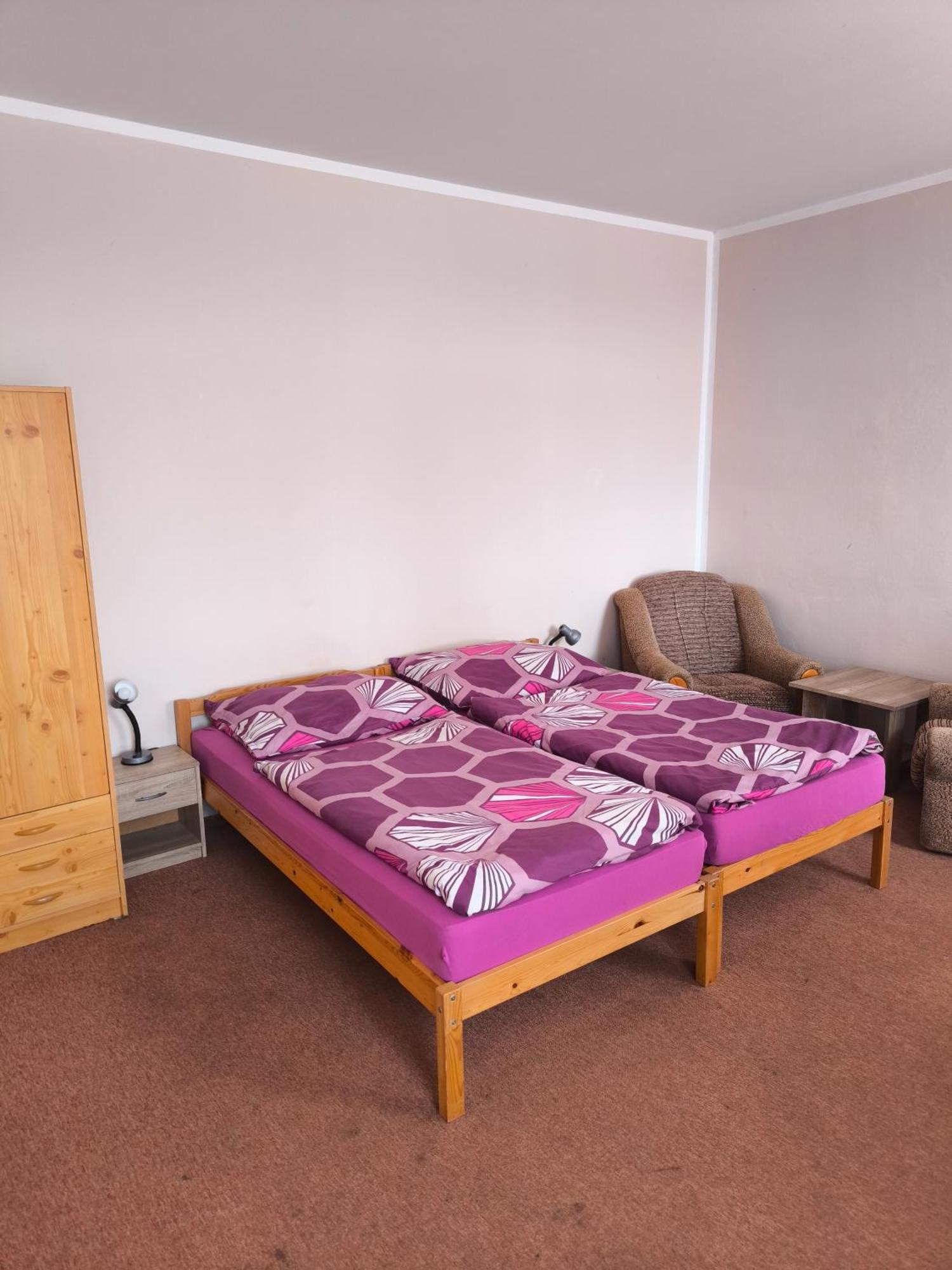 Penzion U Zeleneho Stromu Telnice 部屋 写真